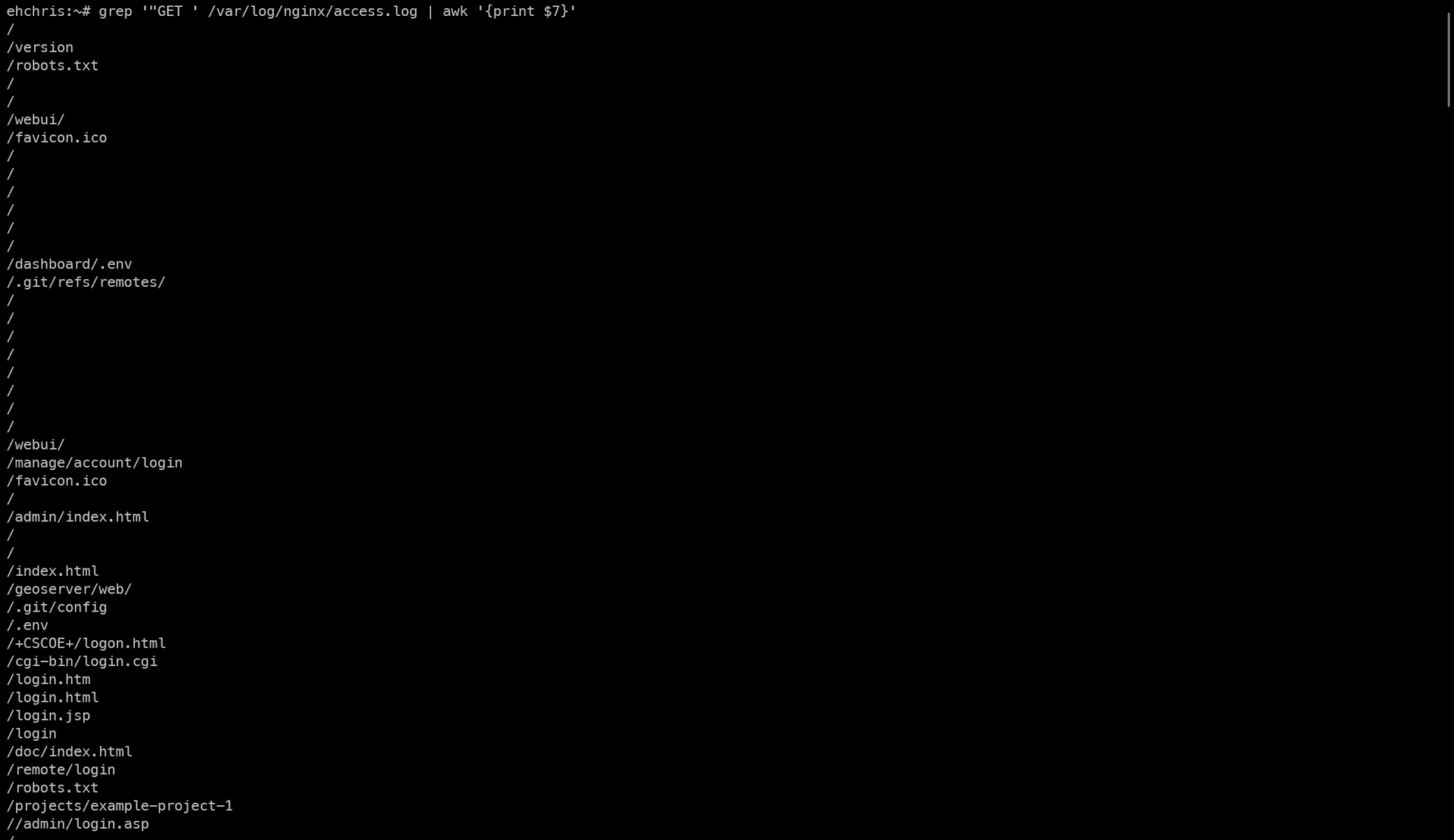 Filtered log showing just paths